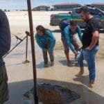 Grupo resgata tartaruga em Aquiraz