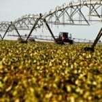 O Produto Interno Bruto (PIB) do Ceará continua em alta em 2024