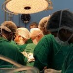 Ao todo, foram feitos 2.029 transplantes