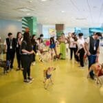 23 animais são adotados durante II Arena Pet