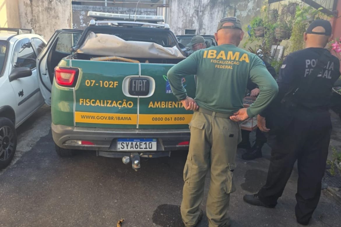 tráfico de animais silvestres no Ceará