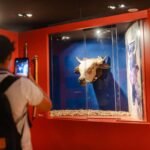 programação de junho no Dragão do Mar