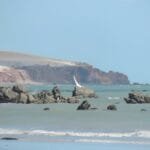 Leste do Ceará tem 12.272 pessoas vivendo em Unidades de Conservação Ambiental em quatro cidades