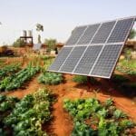 Câmara aprova projeto que facilita crédito para agricultor familiar investir em energia solar