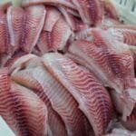 Tarifaço: aprovado plano de socorro a empregos e empresas no Ceará