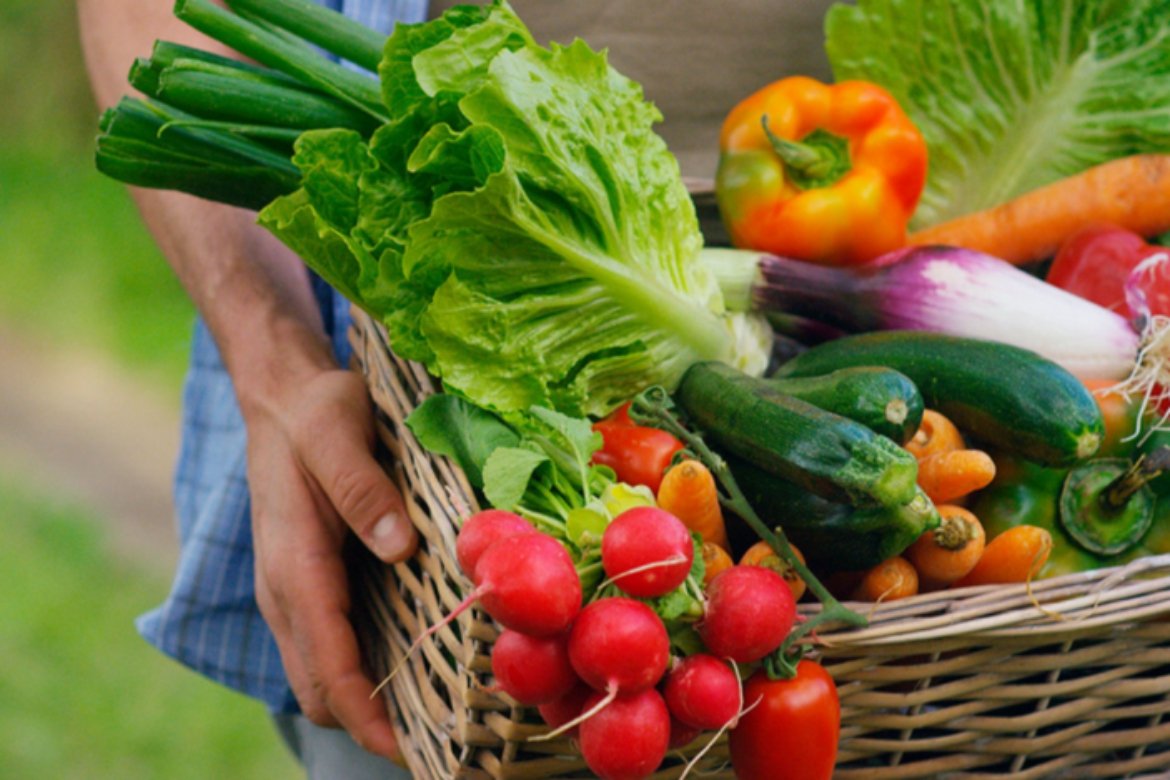 Câmara aprova projeto que amplia compra de alimentos da agricultura familiar para a merenda escolar
