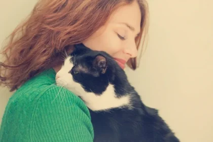 O relacionamento entre gatos e humanos