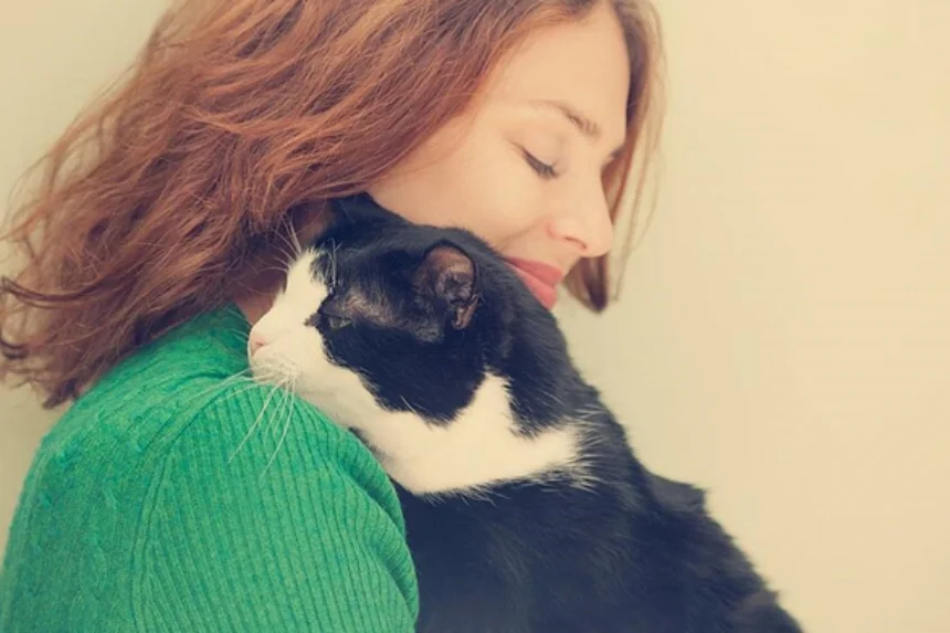 O relacionamento entre gatos e humanos