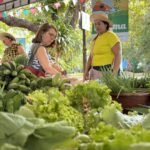 Feira Agroecológica do Cocó promove edição especial de Natal neste sábado (20)