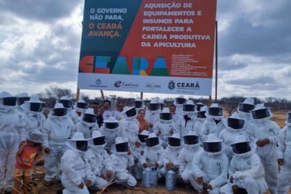 Projeto São José fortalece cadeia apícola e mobiliza apicultores em Hidrolândia
