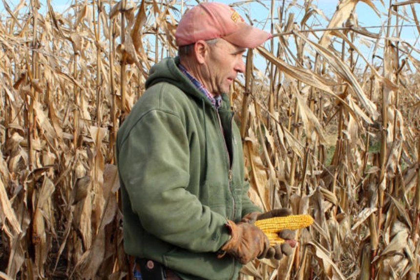 Agricultores americanos dizem que o pacote de ajuda de US$ 12 bilhões de Trump não cobrirá os prejuízos