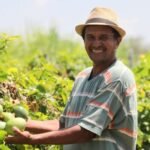 mais de R$ 309 milhões em investimentos para a agricultura familiar