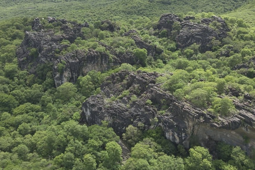 Ceará amplia proteção ambiental e cria cinco novas unidades de conservação na Caatinga