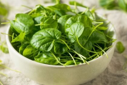 Folhas de agrião em recipiente utilizadas na alimentação saudável.