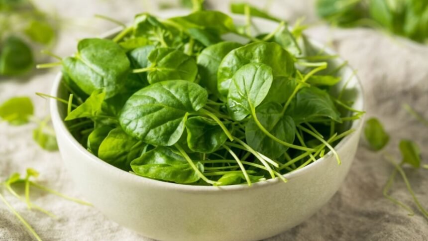 Folhas de agrião em recipiente utilizadas na alimentação saudável.