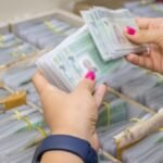 Mãos segurando várias carteiras nacionais de habilitação (CNH) organizadas em lotes para distribuição.