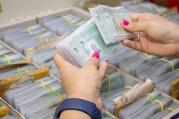 Mãos segurando várias carteiras nacionais de habilitação (CNH) organizadas em lotes para distribuição.